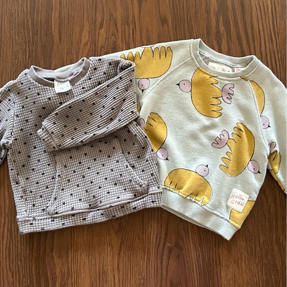 Zara Kids Floral and Bird Print Sweatshirt Set - Picture 2 of 3